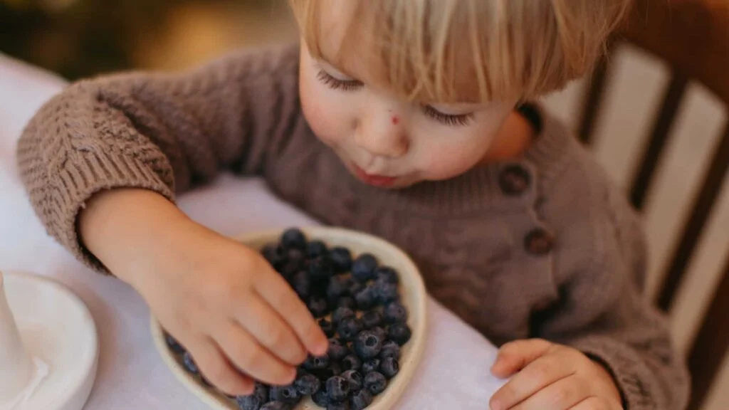 Niño pequeño tocando arándanos en un plato